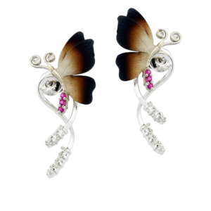 Roberto Bravo GWHE0046