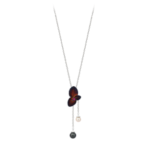 Roberto Bravo GWHP0025