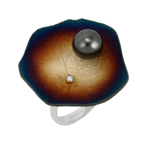 Roberto Bravo GWHR0013