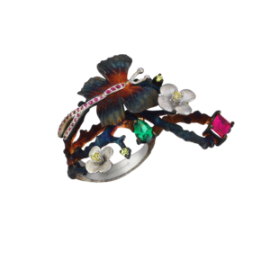 Roberto Bravo GWHR0050