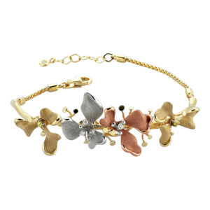 Roberto Bravo KAFB0001