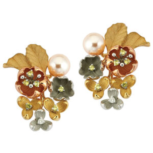 Roberto Bravo KAHE0001