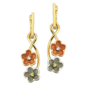 Roberto Bravo KAHE0008