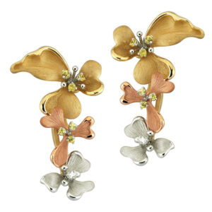 Roberto Bravo KAHE0010