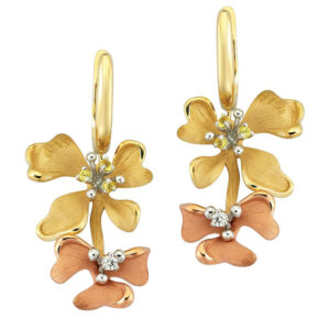 Roberto Bravo KAHE0011