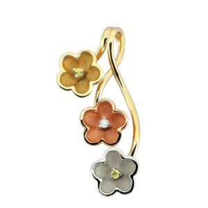 Roberto Bravo KAHP0008