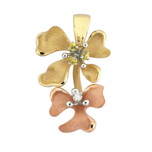 Roberto Bravo KAHP0011