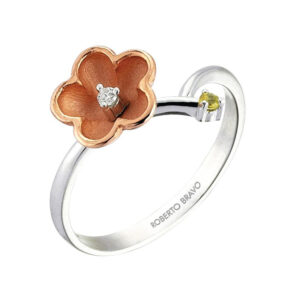 Roberto Bravo KAHR0005