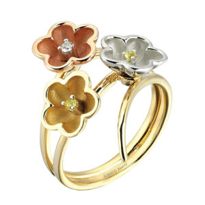 Roberto Bravo KAHR0008