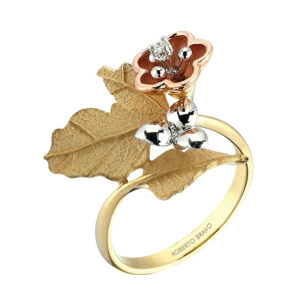 Roberto Bravo KAHR0009