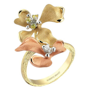 Roberto Bravo KAHR0011