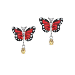 Roberto Bravo MBFE0007