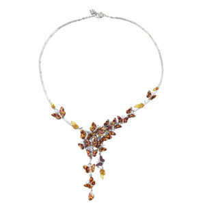 Roberto Bravo MBFP0005 phalanta