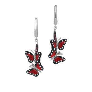 Roberto Bravo MBHE0011