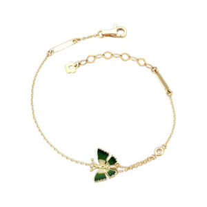 Roberto Bravo NAFB0012