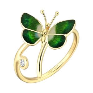 Roberto Bravo NAFR0013