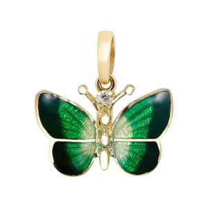 Roberto Bravo NAXP0058