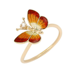 Roberto Bravo NAXR0059