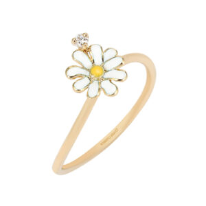 Roberto Bravo NAXR0063