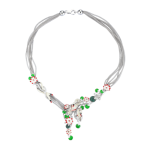 Roberto Bravo SLFP0001