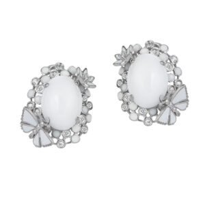 Roberto Bravo WDHE0005