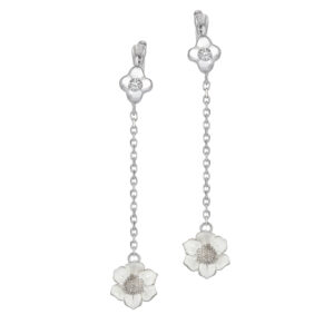 Roberto Bravo WDHE0011