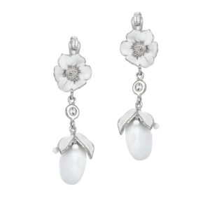 Roberto Bravo WDHE0013