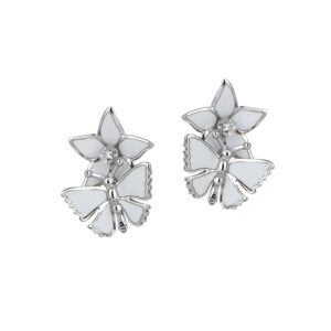 Roberto Bravo WDHE0029