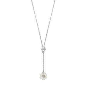 Roberto Bravo WDHP0011