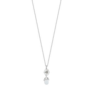 Roberto Bravo WDHP0013