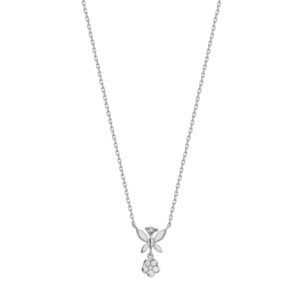 Roberto Bravo WDHP0015