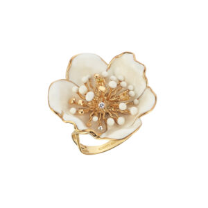 Roberto Bravo WDHR0001