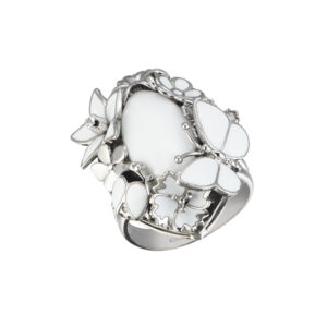 Roberto Bravo WDXR0006