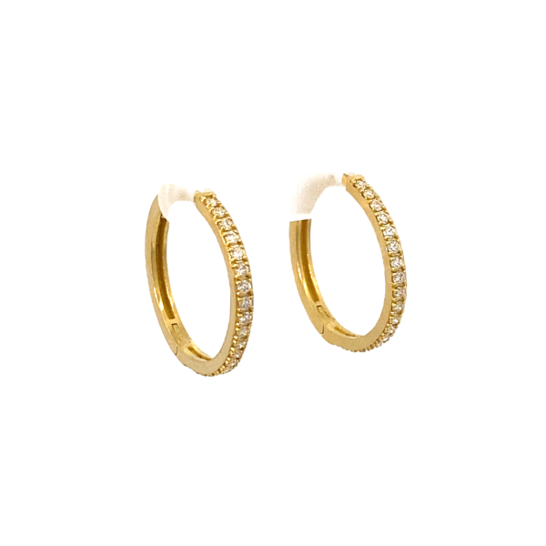 Elegant Gold Hoop Earrings